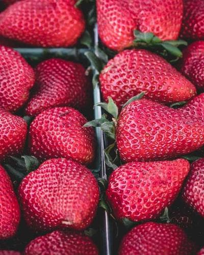 Kit Cronograma Capilar