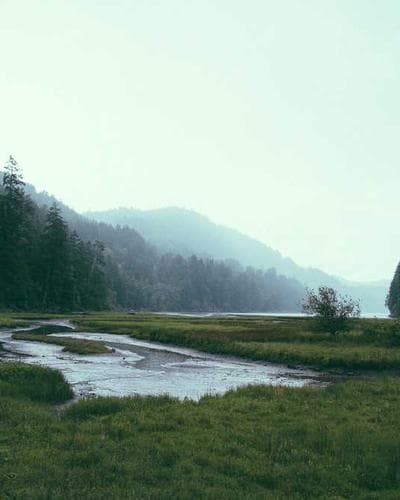 Leave-in Protetor Térmico